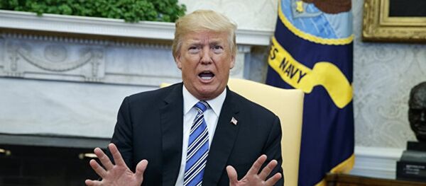 特朗普计划对600亿美元中国进口商品征税 特朗普计划对600亿美元中国进口商品征税 - 俄罗斯卫星通讯社