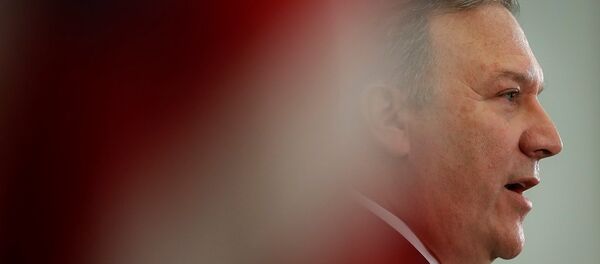 中方愿同美国新一任国务卿共同努力推动中美关系向前发展 - 俄罗斯卫星通讯社