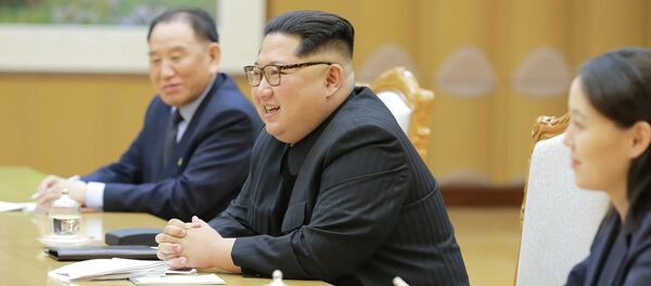 North Korean leader Kim Jong Un North Korean leader Kim Jong Un - 俄罗斯卫星通讯社
