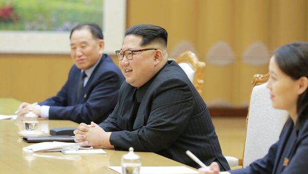 North Korean leader Kim Jong Un - 俄羅斯衛星通訊社