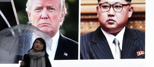 美专家：美朝对无核化期限的立场或出现巨大分歧 - 俄罗斯卫星通讯社