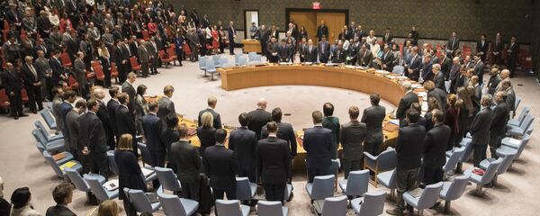 联合国安理会 - 俄罗斯卫星通讯社