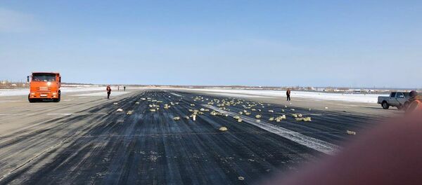 俄雅庫茨克居民繼續尋找從飛機上散落的金條 - 俄羅斯衛星通訊社