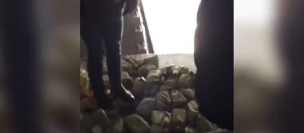 天上下黃金：亞庫特飛機上散落金錠 - 俄羅斯衛星通訊社