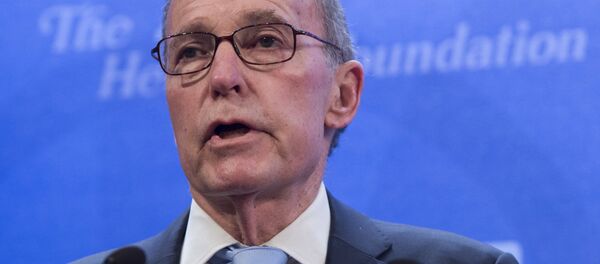 拉里•库德洛 - 俄罗斯卫星通讯社