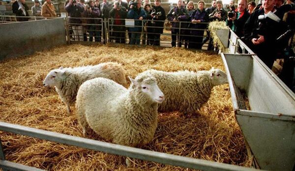 多莉 - 俄羅斯衛星通訊社