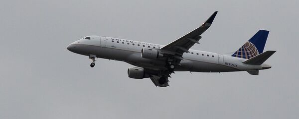 媒体：一架美联航飞机因机舱内发现一条狗而迫降 - 俄罗斯卫星通讯社