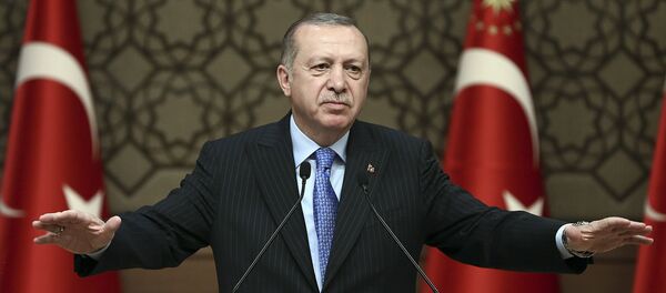 土耳其总统大选提前 埃尔多安宣布启动连任竞选活动 - 俄罗斯卫星通讯社