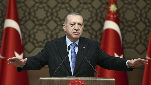 Turkey's President Recep Tayyip Erdogan - 俄羅斯衛星通訊社