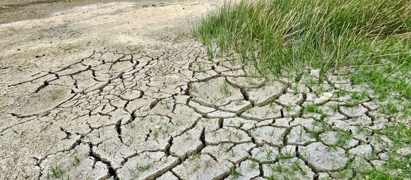 世界气象组织报告：地球气候变化日益明显，温室气体浓度正在增加 - 俄罗斯卫星通讯社