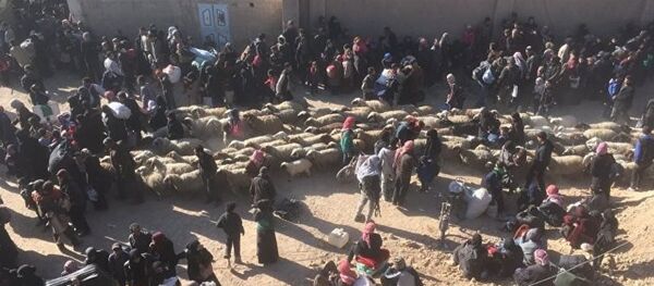 敘東古塔65%地區已被解放 - 俄羅斯衛星通訊社