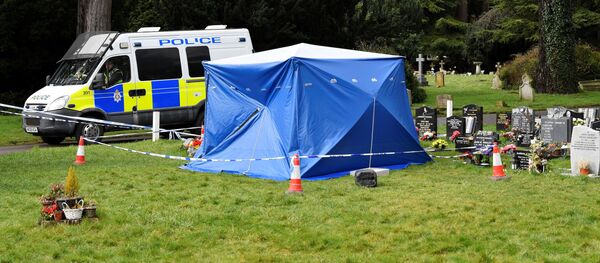 英国驻禁化武组织代表：索尔兹伯里样本不能证明毒物来源国 - 俄罗斯卫星通讯社