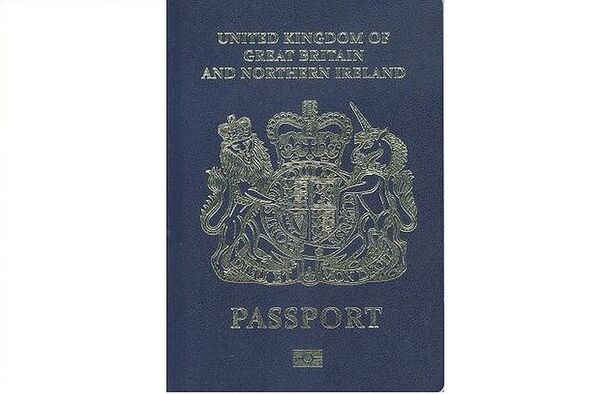 英国脱欧后公民护照 英国脱欧后公民护照 - 俄罗斯卫星通讯社