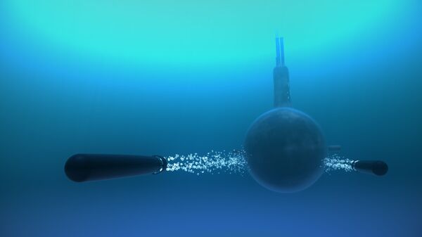 一颗俄制“鲸”式鱼雷就能击沉一艘航母 - 俄罗斯卫星通讯社