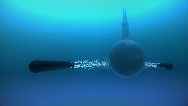 一顆俄制“鯨”式魚雷就能擊沈一艘航母 - 俄羅斯衛星通訊社