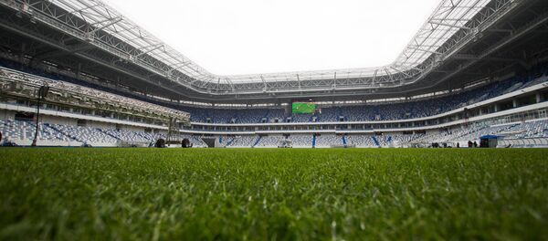 官員：2018年世界杯期間英國球迷不會被禁止在加里寧格勒水體游泳 - 俄羅斯衛星通訊社