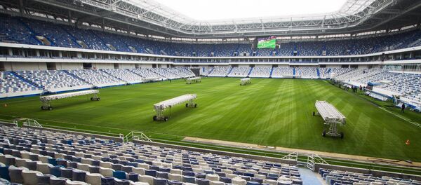 国际足联票务主管：预计俄罗斯世界杯将座无虚席 - 俄罗斯卫星通讯社