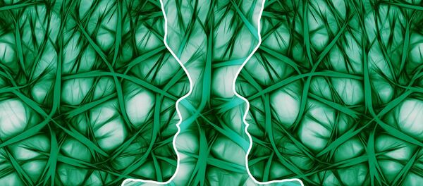 俄羅斯學者研發移植器官長期保存技術 俄羅斯學者研發移植器官長期保存技術 - 俄羅斯衛星通訊社