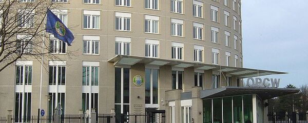 禁止化学武器组织总部 - 俄罗斯卫星通讯社