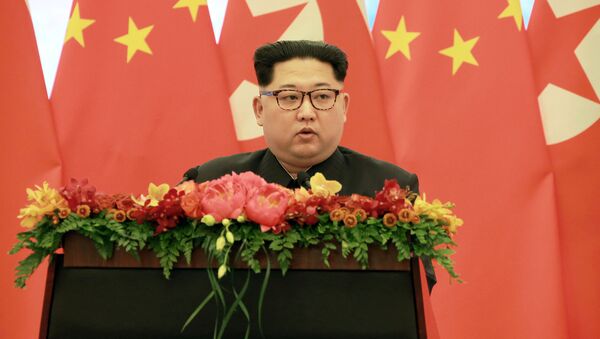 Лидер КНДР Ким Чен Ын во время неофициального визита в Пекин, Китай - 俄罗斯卫星通讯社