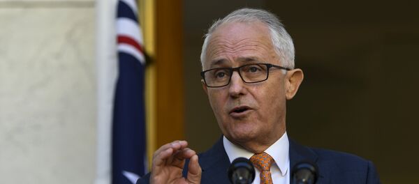 澳大利亚学者反对猎巫 - 俄罗斯卫星通讯社