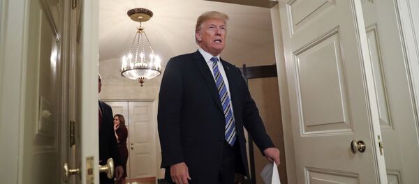 特朗普称在其倡议下美停止同韩国军事演习 - 俄罗斯卫星通讯社