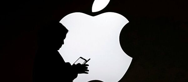 苹果拟将iPhone变成电子护照 - 俄罗斯卫星通讯社