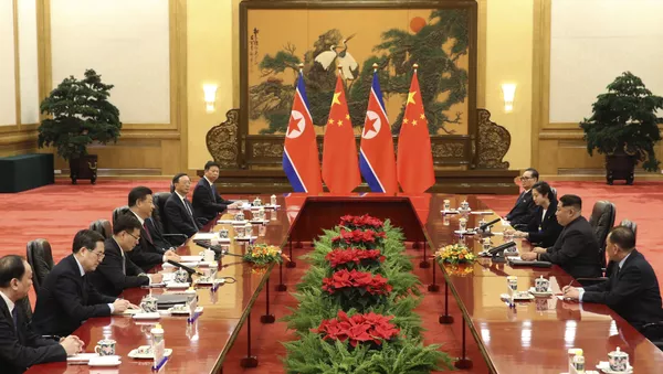 俄專家：金正恩準備討論的是半島無核化問題 而不是朝鮮解除武裝 - 俄羅斯衛星通訊社
