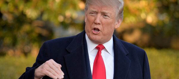 特朗普声明与中国的关税战将使美国更强大 - 俄罗斯卫星通讯社