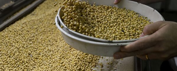 華媒：還記得“生死時速”的美國大豆船嗎？一個月了，它還在海上繞圈圈呢…… - 俄羅斯衛星通訊社