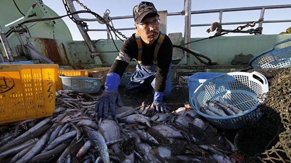 俄羅斯民眾對魚類整體需求下降 - 俄羅斯衛星通訊社