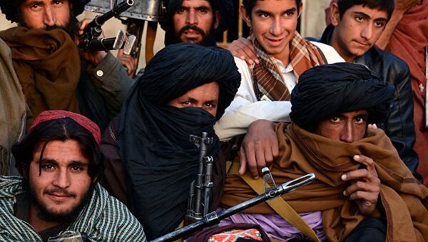 俄罗斯将敦促塔利班与阿富汗当局对话 - 俄罗斯卫星通讯社