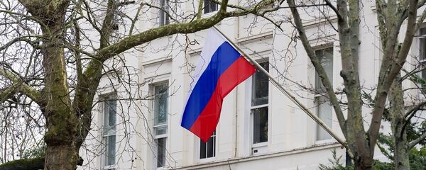 俄驻英大使馆：英国清楚应该缩减多少名驻俄外交人员 - 俄罗斯卫星通讯社