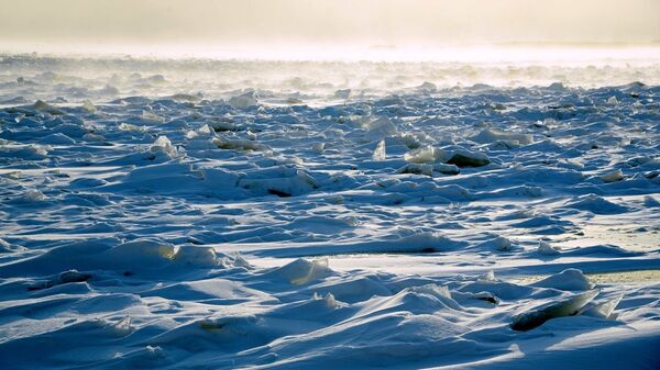 俄中界河阿穆爾河預計不會出現凌汛 - 俄羅斯衛星通訊社