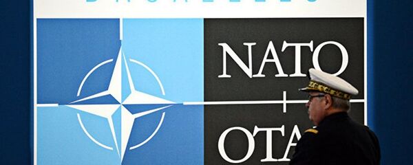 北约 - 俄罗斯卫星通讯社