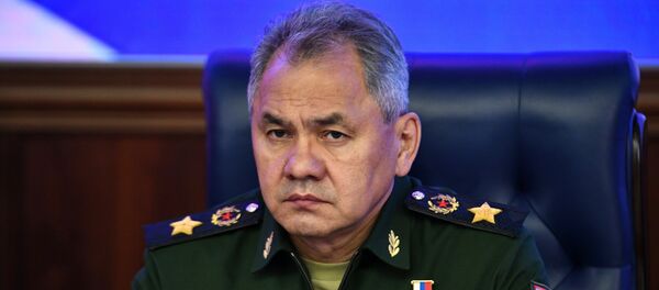 俄中关系的高水平正成为世界安全的重要因素 - 俄罗斯卫星通讯社