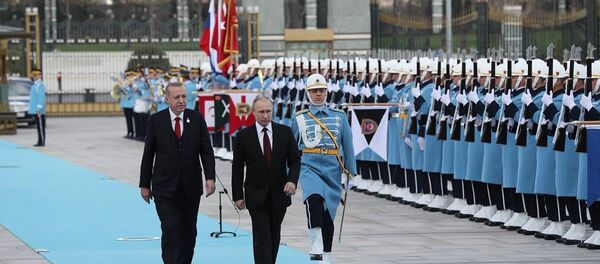 普京已抵達安卡拉開始為期2日的訪問行程 - 俄羅斯衛星通訊社