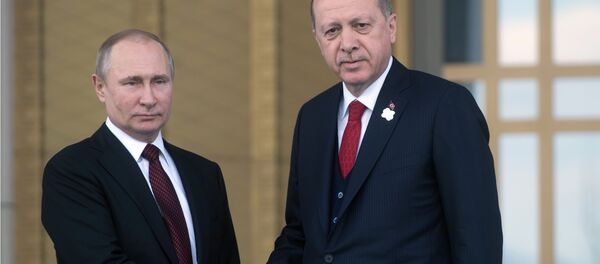 俄土總統下令啓動阿庫尤核電站建設 俄土總統下令啓動阿庫尤核電站建設 - 俄羅斯衛星通訊社