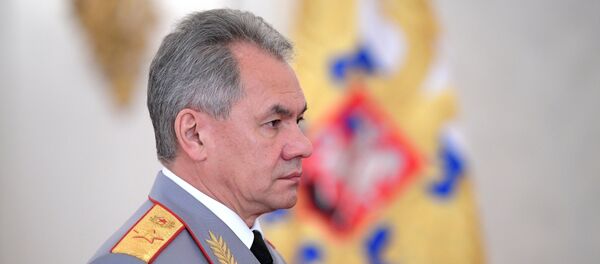 北约在波兰和波罗的海沿岸部署进攻性部队集群 - 俄罗斯卫星通讯社