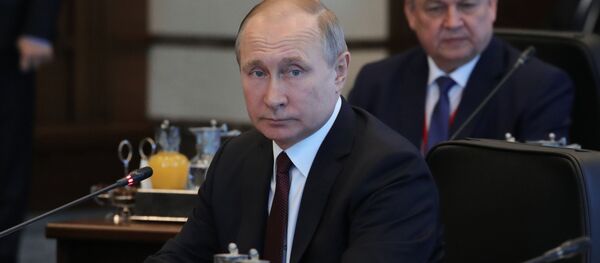 普京:俄罗斯等待的不是什么英国的道歉,而是合乎常理的胜利 普京:俄罗斯等待的不是什么英国的道歉,而是合乎常理的胜利 - 俄罗斯卫星通讯社