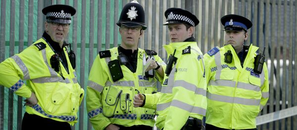 专家:斯克里帕利案符合英国利益 专家:斯克里帕利案符合英国利益 - 俄罗斯卫星通讯社