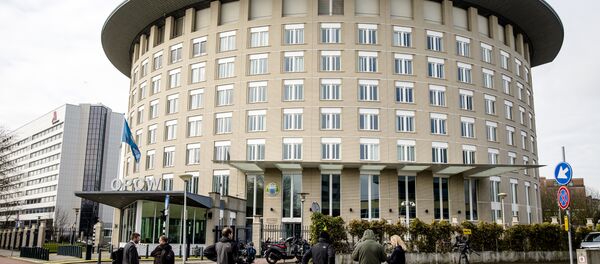 莫斯科不承认禁止化武组织的新职权 - 俄罗斯卫星通讯社