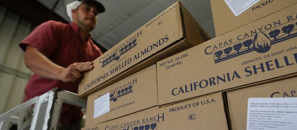 A man stacks boxes of almonds for shipping at Capay Canyon Ranch in Esparto, California - 俄羅斯衛星通訊社