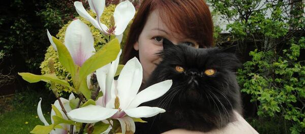 斯克里帕利的家養寵物命運淒慘 - 俄羅斯衛星通訊社