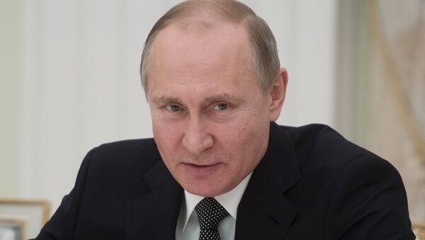 普京总统表示2018年将与习近平主席举行多次会晤 - 俄罗斯卫星通讯社