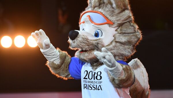 阿穆爾虎、狼、貓入圍2018足球世界杯吉祥物的最後評選階段 - 俄羅斯衛星通訊社