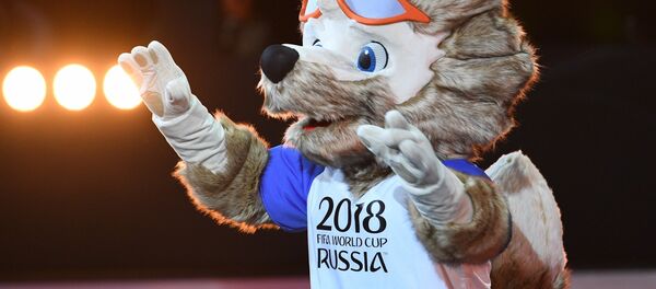 阿穆尔虎、狼、猫入围2018足球世界杯吉祥物的最后评选阶段 - 俄罗斯卫星通讯社