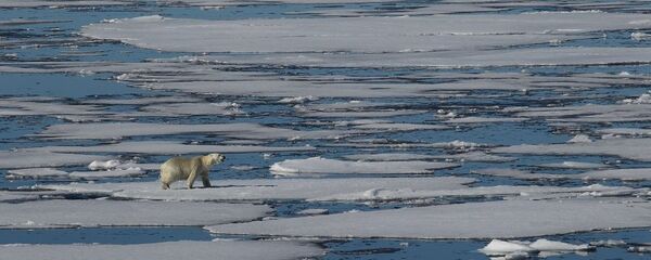 俄羅斯政府將撥出69億盧布建造北極自動推進平台 - 俄羅斯衛星通訊社