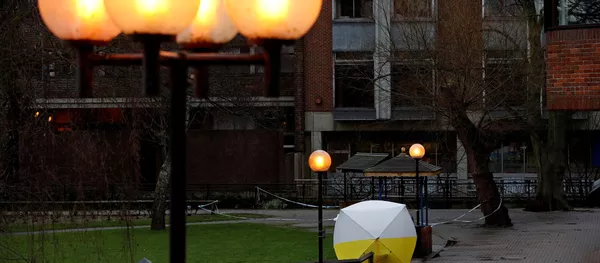 禁化武組織報告中將“斯克里帕利中毒案”有毒物質名稱列為秘密 - 俄羅斯衛星通訊社