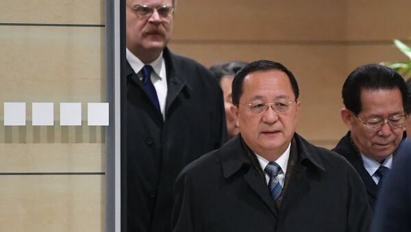 Министр иностранных дел КНДР Ли Ён Хо (на первом плане) во время встречи в аэропорту Домодедово - 俄羅斯衛星通訊社